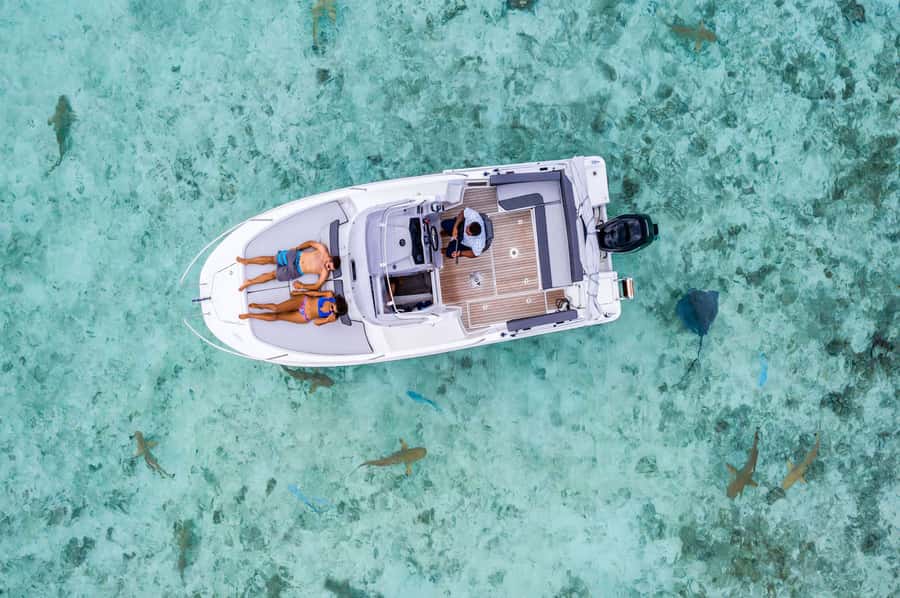 Bora Bora: Private Boat Tour with Snorkeling and Drinks - Snorkeling in Coral Gardens, and what you can actually expect to see