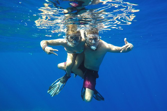 Bora Bora Private Lagoon Tours - Snorkeling With Provided Gear, and the Guide Factor That Changes Everything