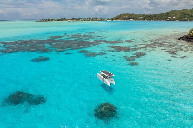 Bora Bora Private Solar Boat Experience - Coral Garden snorkeling: where rays and reef life steal the show