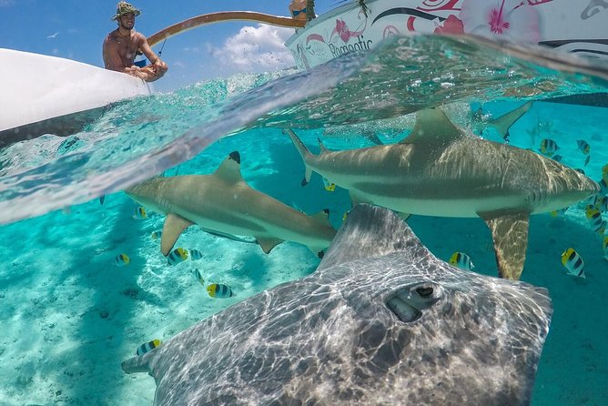 Bora Bora Snorkel Cruise by Polynesian Outrigger Canoe with BBQ Island Lunch - Key things I’d circle on your Bora Bora map