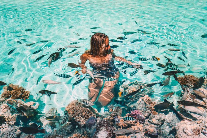 Bora Bora Snorkel Cruise by Polynesian Outrigger Canoe with BBQ Island Lunch - What a 6-hour schedule feels like, 9:00 am start and real swim time
