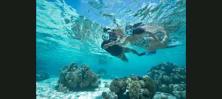 Bora Bora: Snorkeling and Fishing Tour with Lunch Option - Key things I’d mark on your Bora Bora checklist