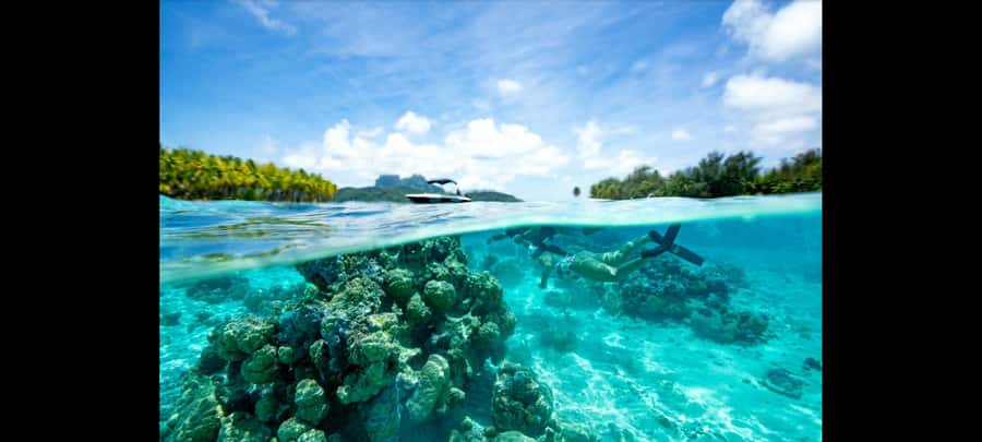 Bora Bora: Snorkeling and Fishing Tour with Lunch Option - Bora Bora lagoon snorkeling, with time to actually enjoy it