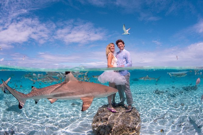 Combo Diving and Snorkeling Full Day Tour - Price and value: what $1,800 per group actually buys you