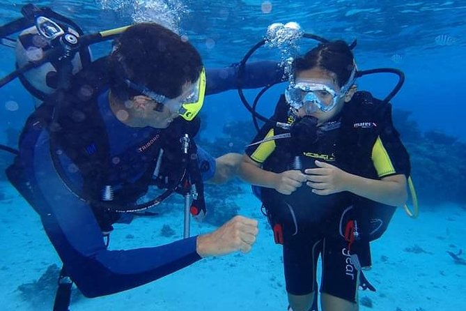 Combo Diving and Snorkeling Half-Day Tour - Key things to know before you go
