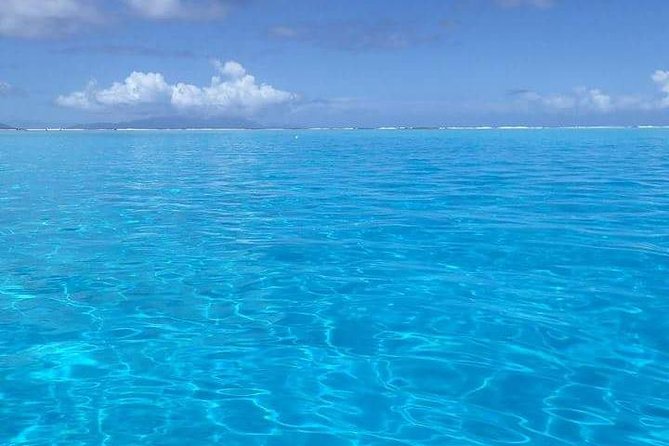 Combo Diving and Snorkeling Half-Day Tour - Why this private scuba and snorkeling combo is a smart use of time