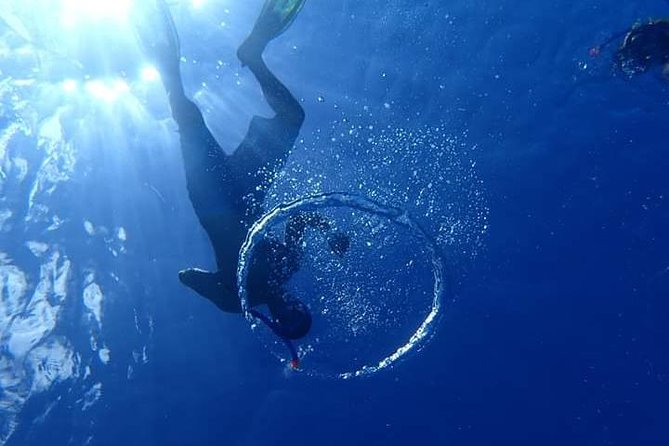 Combo Diving and Snorkeling Half-Day Tour - What’s included, from gear to towels and snacks
