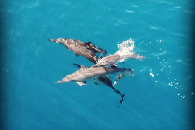Combo Jet Ski Excursion + 4X4 Safari - Snorkeling Stop or Whole-Island Run: Picking the Right Jet Ski Option