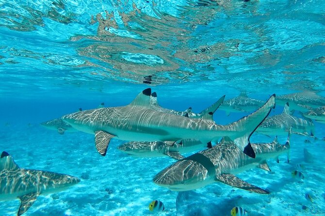 Combo snorkeling + motu lunch + jet ski group tour full day - Weather matters more than you think, and it can change your day
