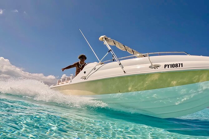 Crazy sea horse Bora Bora Comfortable boat, snorkeling and lunch - Crazy Sea Horse Bora Bora: the key reasons it works