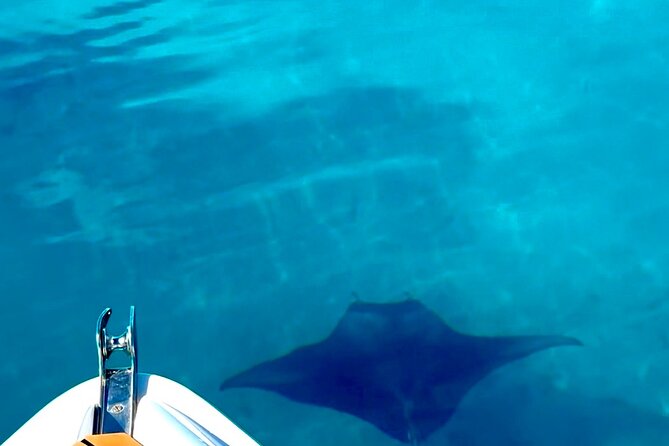 Crazy sea horse Bora Bora Comfortable boat, snorkeling and lunch - Coco show and pareo show: what to watch for