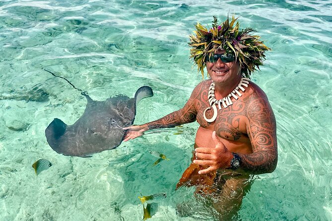 Crazyseahorseborabora Comfortable boat , sensational snorkeling . - Key Highlights You’ll Care About