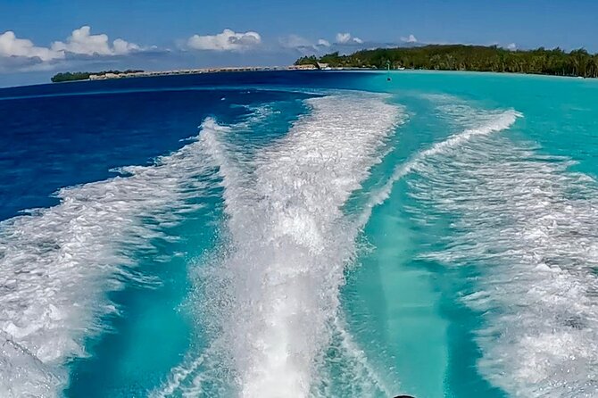 Crazyseahorseborabora Comfortable boat , sensational snorkeling . - What Is Included, and Why It’s Better Than Paying Twice