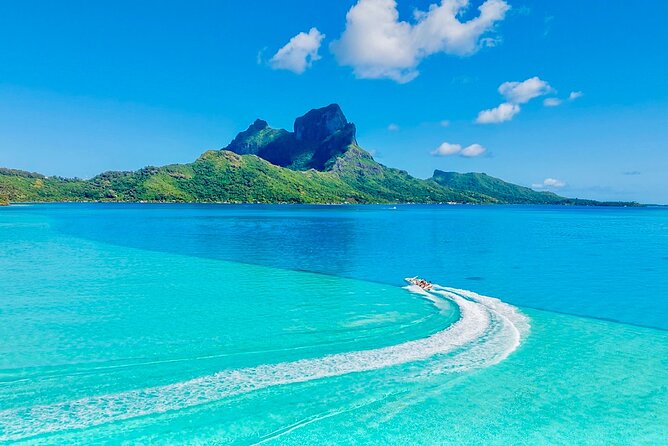 Crazyseahorseborabora Comfortable boat , sensational snorkeling . - Who This Tour Fits Best, and Who Should Think Twice