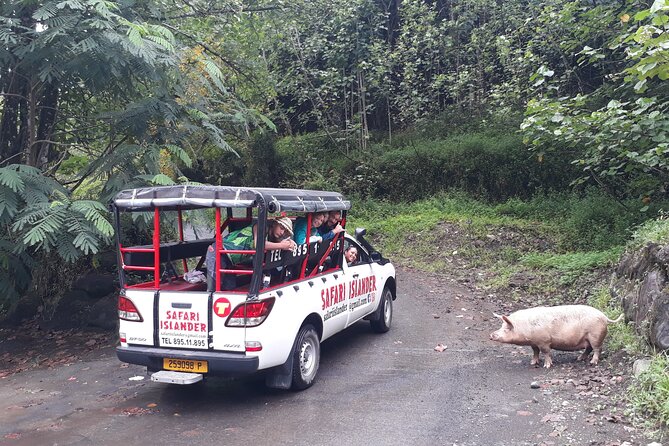 Crossing Island of Tahiti 4x4 Mountain, Waterfall, River, Basins - Bumpy road appreciation: how to enjoy it instead of fighting it