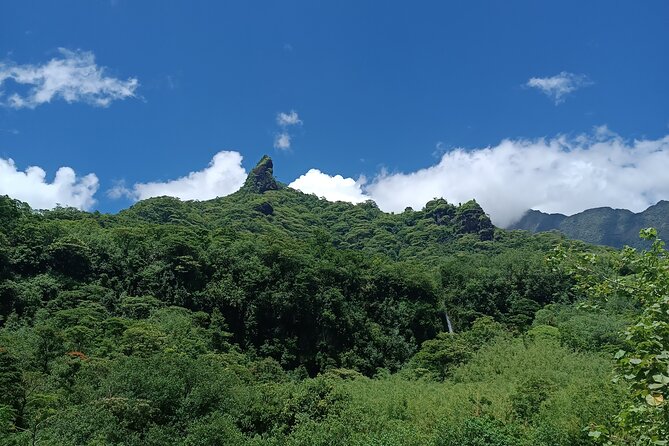 Découvrez le Mana durant la traversée de Tahiti en 4x4 Safari - Stop by stop: waterfalls, fruit, and a scheduled swim