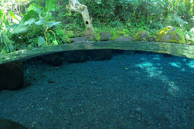 Discovering the emblematic sites of Tahiti - Arahurahu Marae: sacred ground with a restored touch