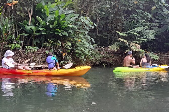 Discovery in Kayaking of the Faaroa River in Raiatea - Key highlights worth knowing