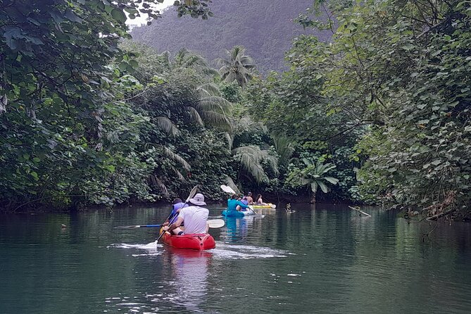 Discovery in Kayaking of the Faaroa River in Raiatea - Small-group kayaking on the Faaroa River, the human part matters
