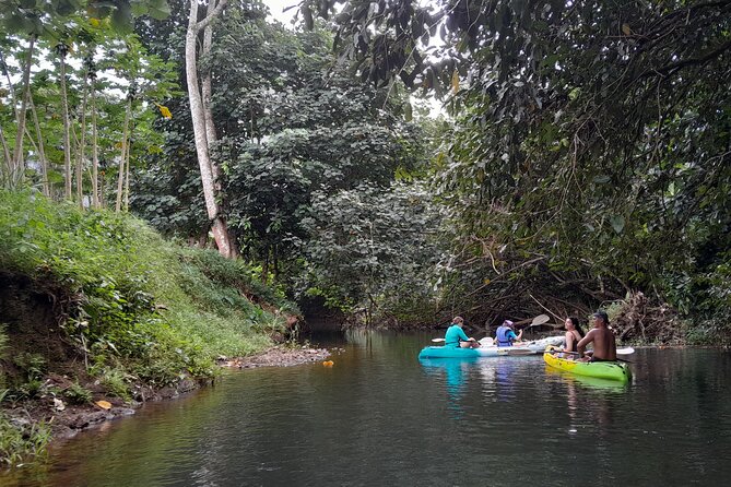 Discovery in Kayaking of the Faaroa River in Raiatea - The itinerary reality: the river is the attraction