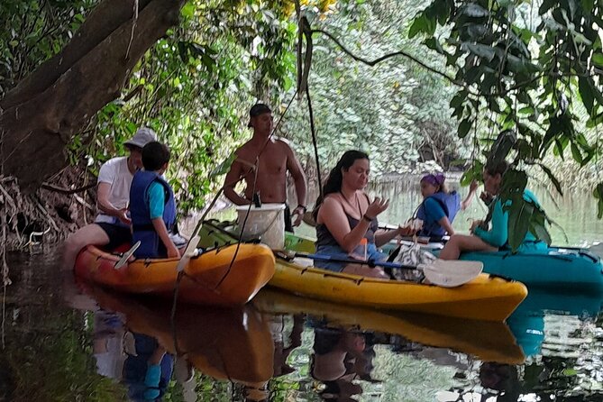 Discovery in Kayaking of the Faaroa River in Raiatea - On-water time plus short human stops for coconut and grapefruit