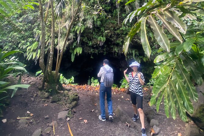 Discovery of Tahiti Nui Island - Vaipahi Water Gardens: plants, water, and a story in ruins