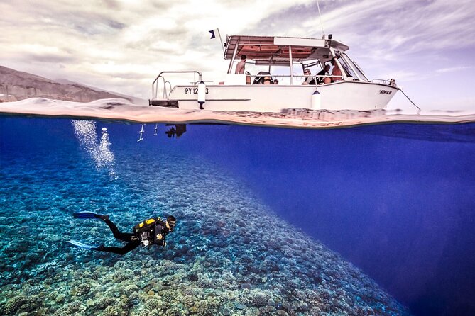 Double Diving Adventure Exploration for Certified Divers - Key things I’d plan around
