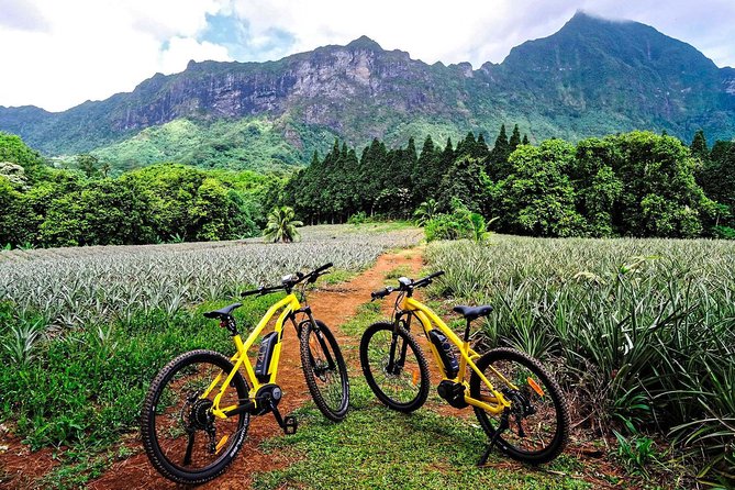 E-Bike Moorea Electric Bike Rental Moorea - Key highlights that make this e-bike rental worth it