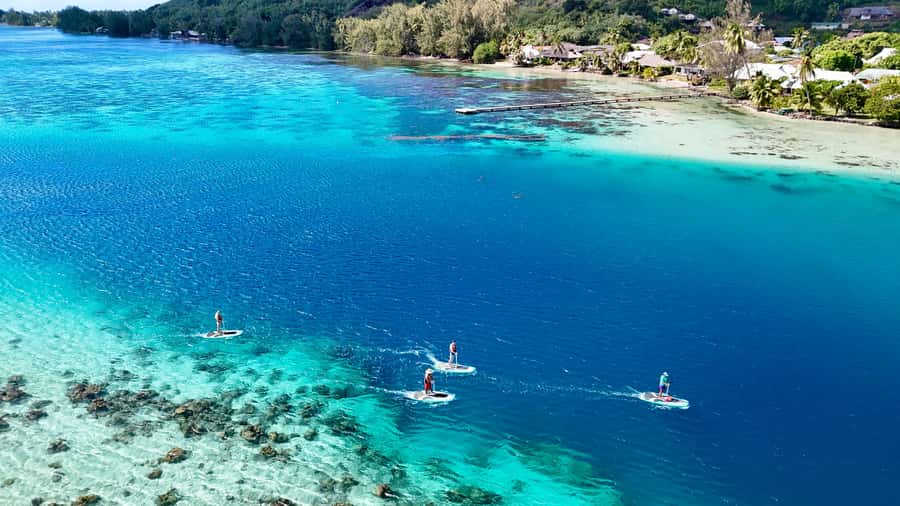 E-Board private tour of Moorea lagoon - The 2-hour flow: cruise, coral garden stop, and a swim with fish