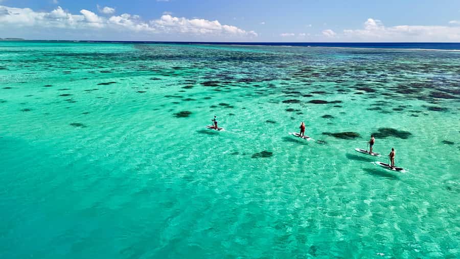 E-Board private tour of Moorea lagoon - Snorkeling the coral garden: what you’re actually there for