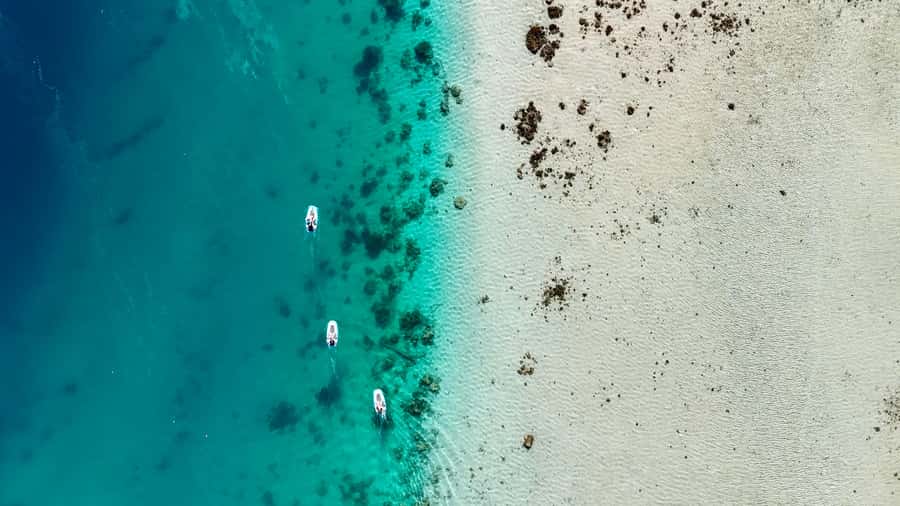 E-Board private tour of Moorea lagoon - Price and value in Moorea: what $95 really covers