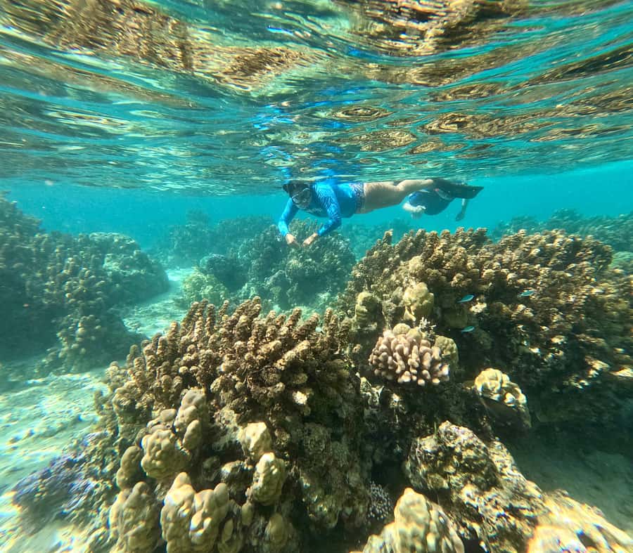 E-Board private tour of Moorea lagoon - Who this E-board lagoon tour suits best
