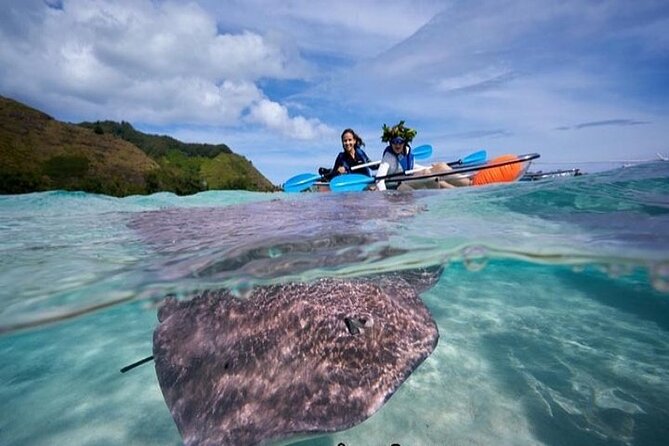 Eco guided excursion to the lagoon of Moorea in a transparent kayak Afternoon 2h - The 1:00 PM to 3:00 PM afternoon rhythm that keeps it easy