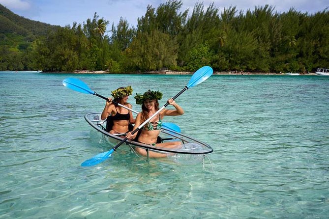 Eco guided excursion to the lagoon of Moorea in transparent kayak 1/2 day morning - First Paddle Out of Plage de Tiahura