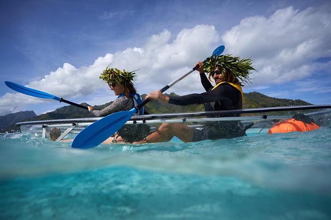 Eco guided excursion to the lagoon of Moorea in transparent kayak 1/2 day morning - Price and Value for a $91.10 Morning