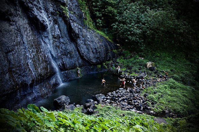 Enjoy Moorea Day Tour - Guides Make or Break This Experience