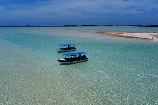 Excursion The Blue Lagoon and Reef Island - Quick hits before you go