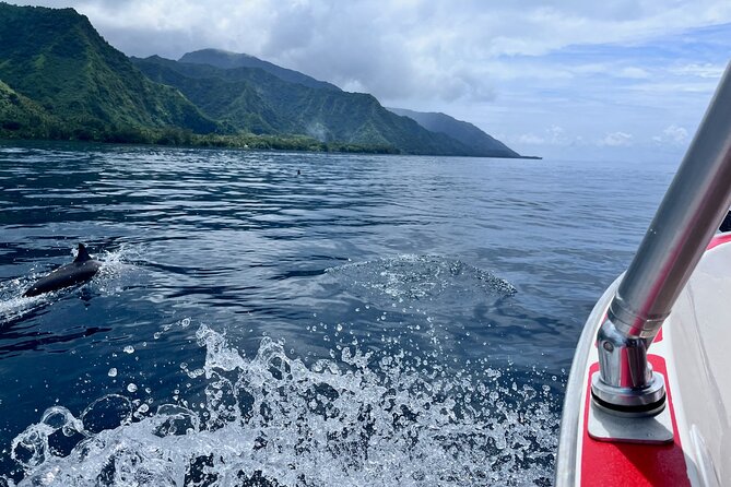 Excursion to discover the authentic Tahiti Peninsula 4:00 - Stop 1: Teahupoo wave sign and the story behind Tahiti’s surf legend