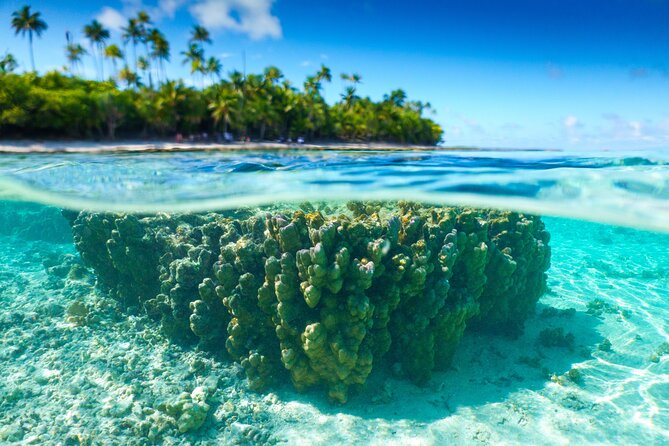 Excursion to Tetiaroa by Catamaran Visit Lunch Snorkeling - Key highlights worth circling
