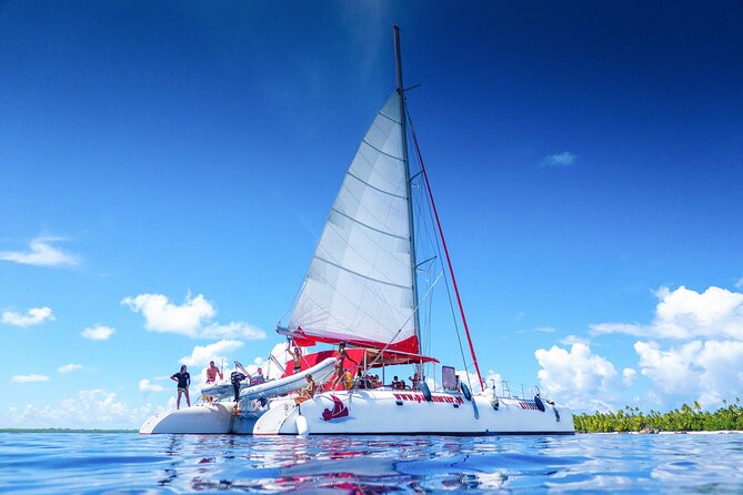 Excursion to Tetiaroa by Catamaran Visit Lunch Snorkeling - Catamaran Morning to Tetiaroa, the part that feels almost too easy