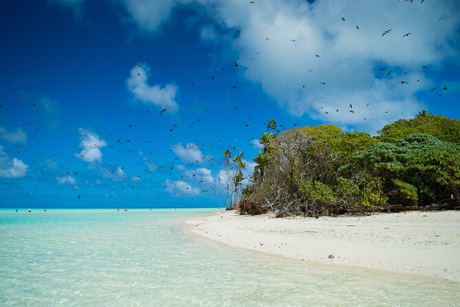 Excursion to Tetiaroa by Catamaran Visit Lunch Snorkeling - Stop 5, the punch and that last stretch back to Papeete