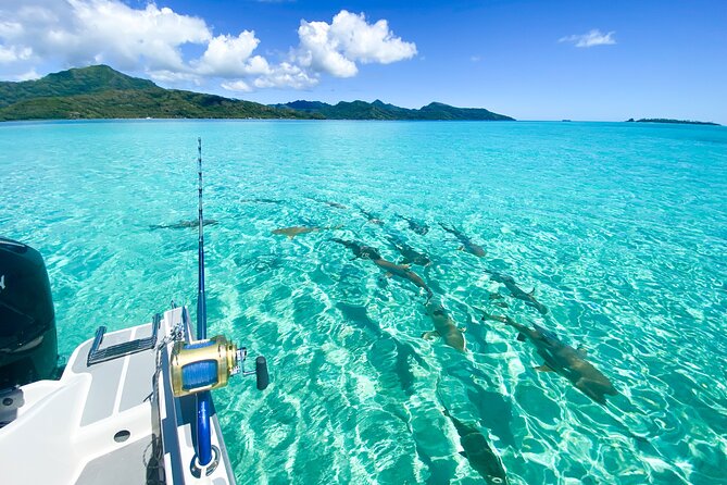 Exploration, Taha'a Lagoon Tour by Private Boat - Key Highlights You’ll Actually Feel on This Boat Day