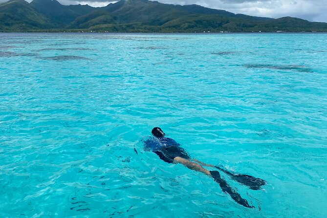Exploration, Taha'a Lagoon Tour by Private Boat - The Lagoon Snorkeling: What You Can Expect to See