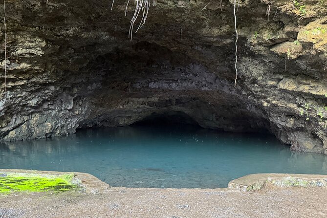 Explore Tahiti in depth in a day - Price at $218.64: is it worth it for a full-day Tahiti plan?