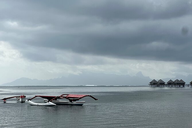 Explore Tahiti in depth in a day - Who this Tahiti day tour suits best