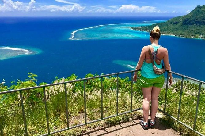 Franckyfranck Tours Moorea - Half day Tours - The Tastings: What Is Included, What You Should Expect, and How to Pace Yourself