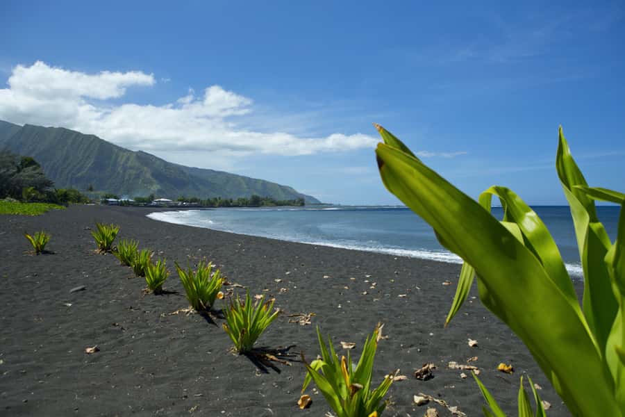 From Papeete: Tahiti Highlights Full-Day Private Tour - Price and what $850 per group really buys you