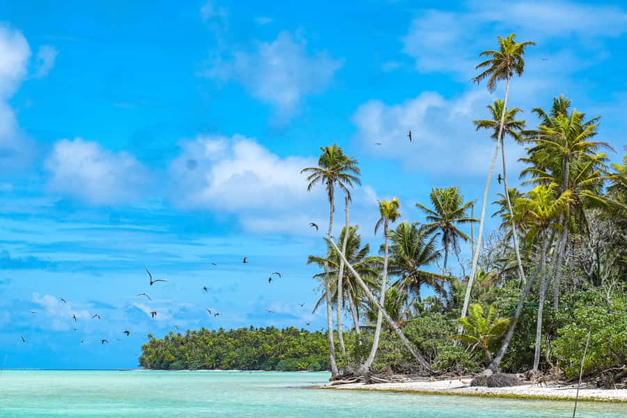 From Tahiti: Tetiaroa Island Tour by Sailing Catamaran - How the 5:45 AM Papeete start shapes the whole day