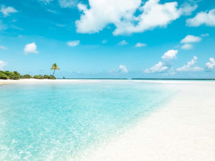 From Tahiti: Tetiaroa Island Tour by Sailing Catamaran - Reef snorkeling: equipment included, and marine life you might spot