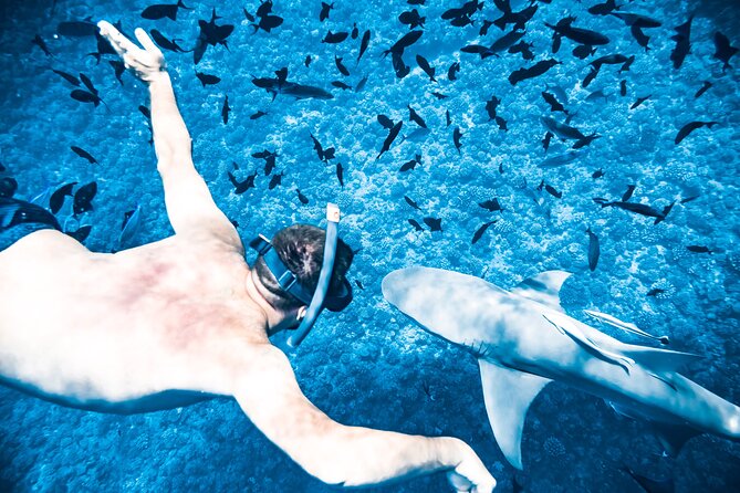 Full-Day Bora Bora Lagoon Cruise Including Snorkeling with Sharks and Stingrays - Crowd size, boat feel, and why group size matters in Bora Bora